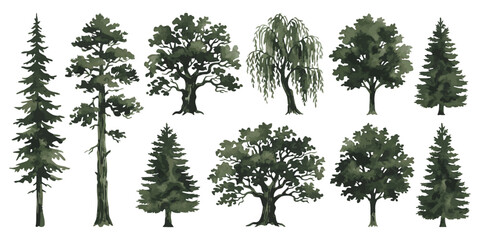Fototapeta premium Set of black and white tree silhouettes showing different species like pine oak willow and evergreen forest plants
