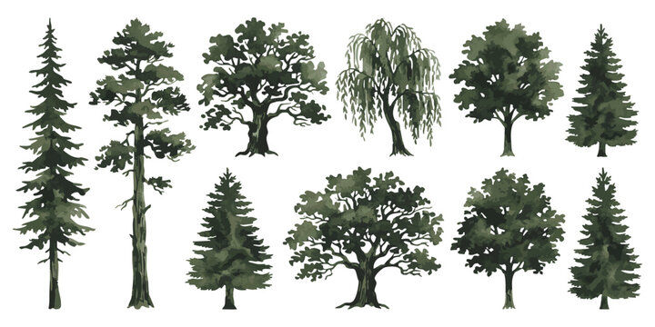 Set of black and white tree silhouettes showing different species like pine oak willow and evergreen forest plants