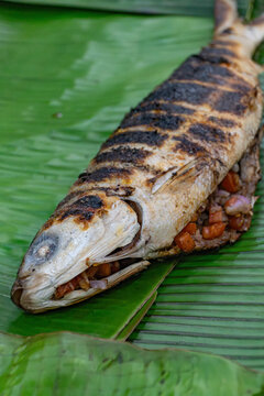 Whole grilled fish stuffed with chopped tomatoes and onions, served on fresh green banana leaves, featuring charred skin and rustic tropical food presentation.