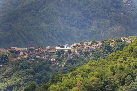 Hillside residential community surrounded by dense green pine forest and lush mountain slopes, showing homes nestled within a scenic highland landscape.
