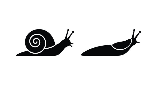 Black silhouette of two snails with detailed shells on a white background snail gastropod