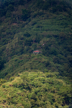 Isolated rural house nestled on a densely vegetated mountain slope, surrounded by lush tropical forest and patches of sunlight in a remote highland landscape.