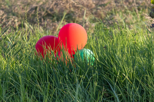 Red and green balloons hidden in tall grass