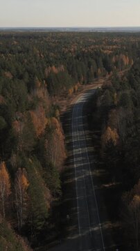 Drone view of a long empty asphalt road cutting through dense mixed forest with autumn colors, rural landscape and wilderness scenery in the Ural region, Russia