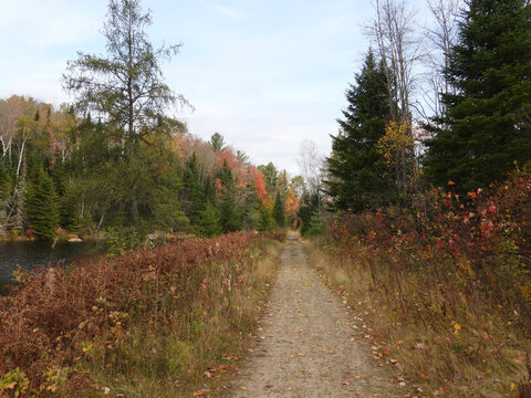Hiking the popula Bloomingdale Bog Trail, is a great way to experience the natural beauty of a Boreal Forest habitat. Adirondack mountains, northern New York State. 