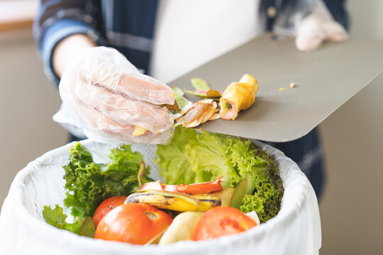 Compost from leftover food asian young housekeeper woman, female holding cutting board hand scraping waste, rotten vegetable throwing away into garbage, trash or bin. Environmentally responsible.