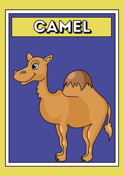 Cute Cartoon Camel Desert Animal Educational Flashcard