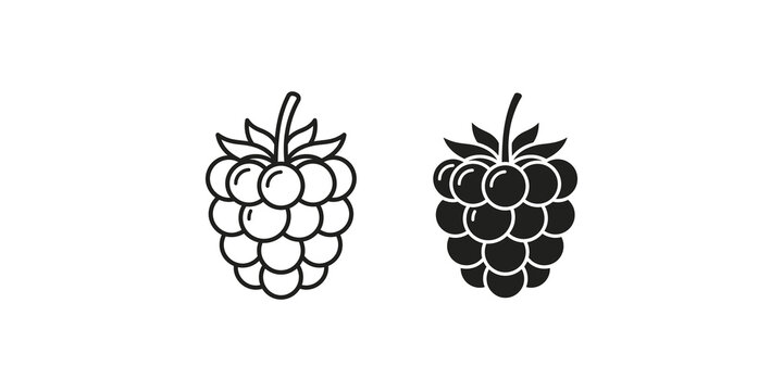 Fresh raspberry fruit icons in black silhouette and linear design for healthy food graphics.