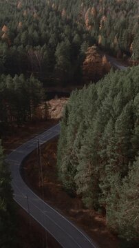 Drone footage of a curving asphalt road cutting through dense pine forest with autumn colors, peaceful wilderness landscape in the Ural Mountains, Russia