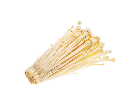 Fresh bunch of enoki mushrooms with thin delicate stems and caps transparent background