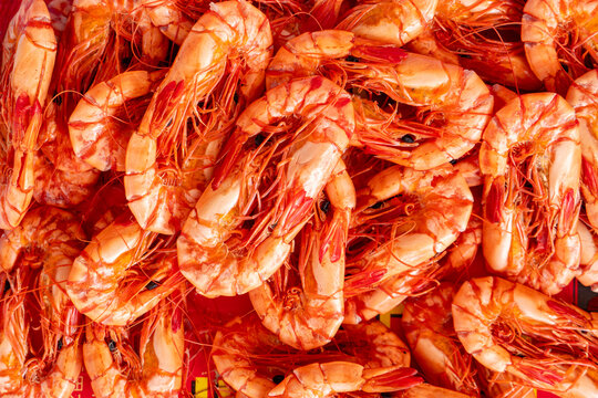 Dried prawns piled densely for seafood retail