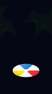 A colorful beach ball bouncing up and down repeatedly against a dark background in an animated loop