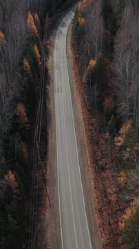 Drone footage of an empty winding asphalt road cutting through a dense autumn forest with bare trees and orange foliage in the Ural Mountains, Russia
