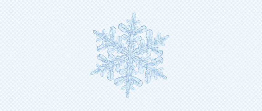 Easy-to-edit vector layers. Snowflake ice crystal vector with frozen facets. Useful for mockups and editorial layouts. Five separate layers make the artwork easy to adapt to different designs.