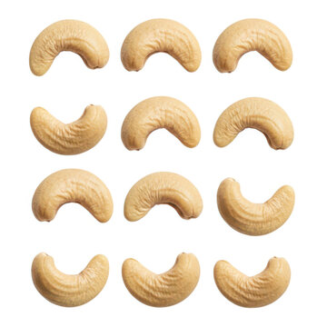 Fresh organic cashew nuts arranged in a grid pattern isolated on white background