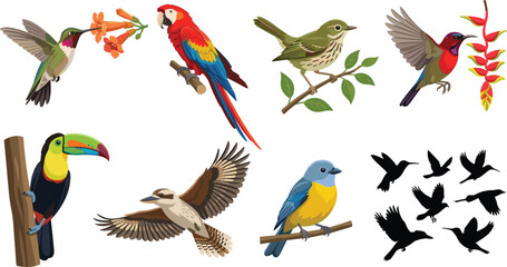 Fototapeta premium Colorful Bird and Wildlife Character Vector Illustration Collection