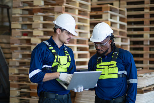 During factory teamwork, two workers review a laptop together in a team meeting beside tall stacks of wooden pallets.