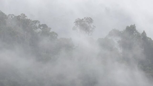 A nature video background featuring the sky, the movement of rain clouds over the course of a journey, and changing weather conditions throughout the day.