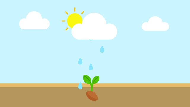 cartoon style animation spring flower grow up wit sky background good for education
