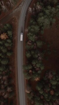 Top down drone view of curved highway with cars and a truck passing through mixed autumn woodland and fields in the Ural region, Russia, scenic travel transport scene