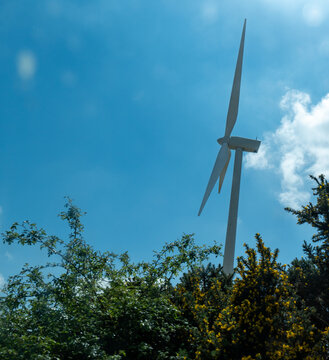 Wind turbine against a clear blue sky above green gorse bushes