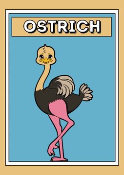 Cute Cartoon Ostrich Big Bird Educational Flashcard