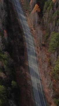 Drone footage of a curving asphalt road cutting through mixed conifer and birch forest in autumn colors, Ural Mountains, Russia, travel and nature background
