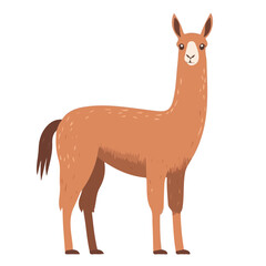 Obraz premium Flat 2D vector illustration of Llama, clean modern design, simple geometric shapes, isolated on a white background.
