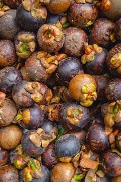 Fresh mangosteen fruits with purple rinds and green calyxes arranged closely together.