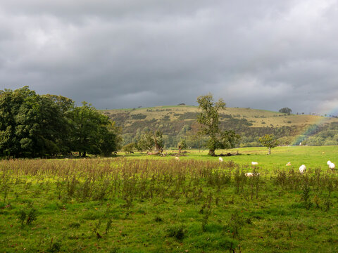 27th September 2026, Embleton, Cumbria. A dramatic sky looms over a pastoral landscape with sheep grazing in a field, hinting at a passing storm and the promise of a rainbow.