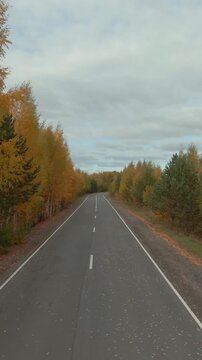 FPV drone footage flying above a straight empty asphalt road through colorful autumn forest with birch and pine trees, overcast sky, travel and nature background