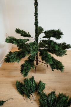 Preparing the Christmas tree at home