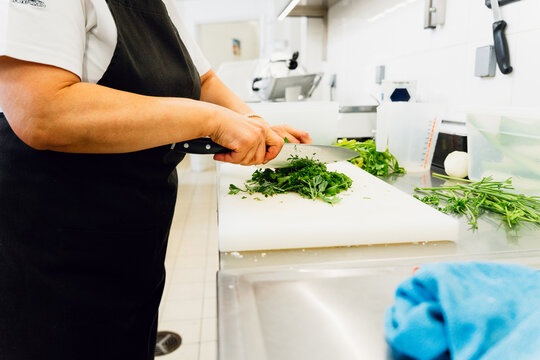 Fresh Herbs Being Prepared in a Commercial Kitchen