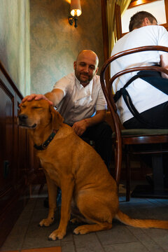 Restaurant Worker Petting a Dog Inside the Dining Room