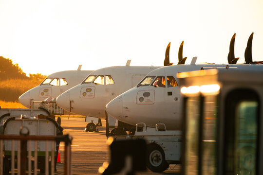 Row of Parked Airplanes at Sunrise