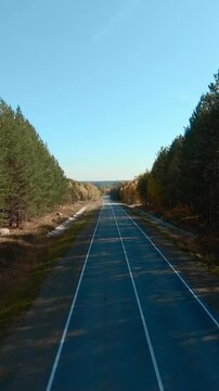 FPV aerial footage flying above a straight empty asphalt highway cutting through dense pine forest in autumn colors under clear blue sky, rural landscape with no traffic
