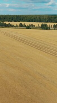 Drone view of a tractor towing a grain trailer across a harvested wheat field near forest under blue sky in the Ural region, Russia, showcasing modern agriculture