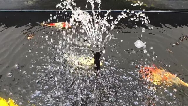 Small water fountain spraying water in koi fish pond background