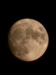 Fototapeta premium moon