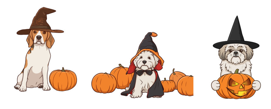 Cute Halloween Dogs in Which Costumes with Pumpkins Set Beagle Maltese Shih Tzu Spooky Pet Vector Illustration Isolated on White Background