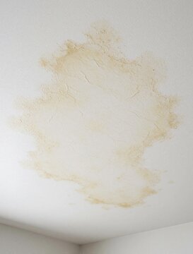 Large yellowish water stain on white indoor ceiling. Roof leak caused moisture damage, wet plaster spots in house. Home maintenance needed to fix ceiling leak, repair damage from heavy rain plumbing