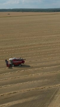Drone view of red combine harvester harvesting grain and leaving straw rows across a vast wheat field in the Ural region, Russia, showcasing modern agriculture and rural landscape