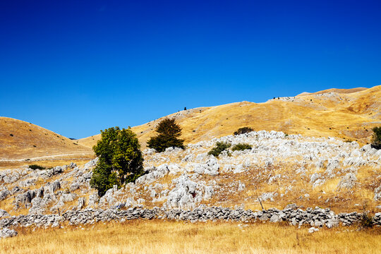 Golden Karst Hills with Limestone Rocks and Trees Under Deep Blue Sky