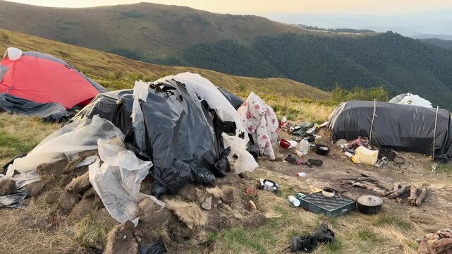 Roma camp under Velykyi Verkh mountain on Borzhava ridge in Ukraine&rsquo;s Carpathians, tents with scattered belongings, families harvesting blueberries and lingonberries for sale amid disorder