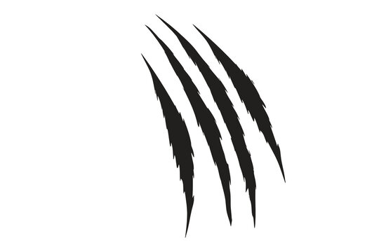 Black claw scratch marks isolated on white background. Three diagonal animal slash tears for horror and Halloween design. Bold scary monster paw scar ideal for posters, logos, and game graphics.