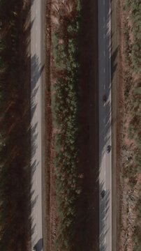 Drone footage, top down view of a divided highway with trucks and cars moving between dense autumn forest, Ural region, Russia, transport and logistics concept