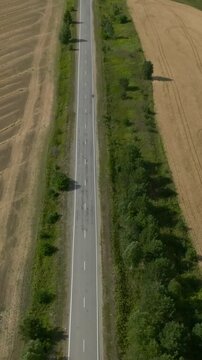 Top-down aerial footage of a straight asphalt country road running between golden harvested farmland and green trees in the Ural region, Russia, on a sunny summer day