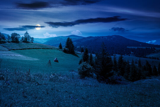 countryside mountain landscape in summer at night. full moon over Borzhava mountain ridge behind the green pasture. view of field near coniferous forest