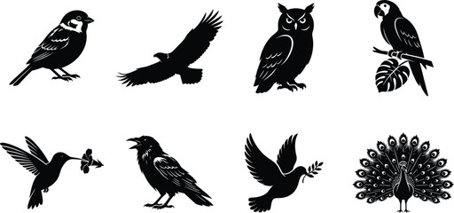 Fototapeta premium Bird Silhouette Collection Featuring Sparrow Eagle Owl Parrot Hummingbird Raven Dove and Peacock
