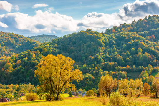 Carpathian mountain landscape on a sunny afternoon. outdoor adventure with stunning view in evening light. outskirts of Volosianka village, Ukraine